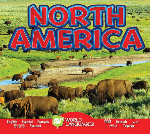 North America by Alexis Roumanis