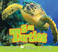 Sea Turtles by Aaron Carr