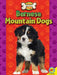 Bernese Mountain Dogs by Lisa Truesdale