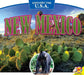 New Mexico by Cindy Rodriguez, Rennay Craats