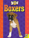 Boxers by Joanne Mattern