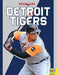 Detroit Tigers by Sam Rhodes