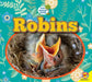 Robins by Heather Kissock