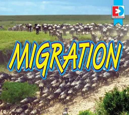 Migration by John Willis