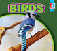 Birds by Maria Koran