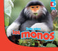 Todo Sobre Los Monos by Jared Siemens