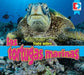 Todo Sobre Las Tortugas Marinas by Katie Gillespie