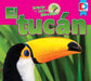 Animales de la Selva Amazónica -- El Tucán by Katie Gillespie