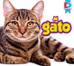 Mi Gato by Katie Gillespie