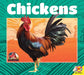Chickens by Jared Siemens