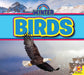 Birds by Ruth Daly, John Willis