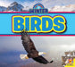 Birds by Ruth Daly, John Willis