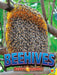 Beehives by Christopher Forest