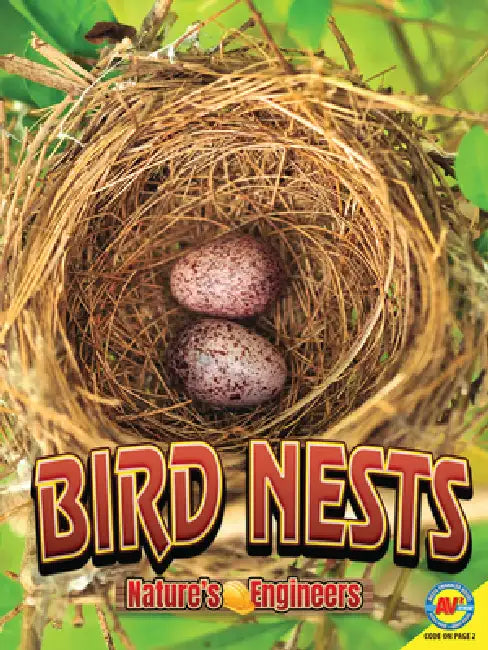 Bird Nests by Stacy Tornio