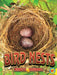 Bird Nests by Stacy Tornio