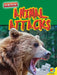 Animal Attacks by Marne Ventura, Heather Kissock
