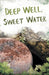 Deep Well, Sweet Water by Sam L. Sullivan