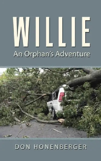 Willie: An Orphan's Adventure by Don Honenberger