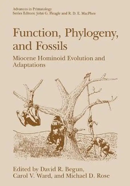 Function, Phylogeny, and Fossils: Miocene Hominoid Evolution and Adaptations by David R. Begun
