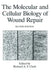 The Molecular and Cellular Biology of Wound Repair by R. A. F. Clark