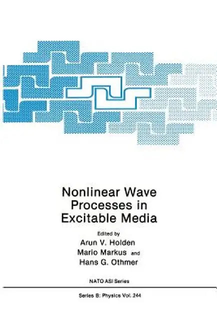Nonlinear Wave Processes in Excitable Media by Arunn V. Holden