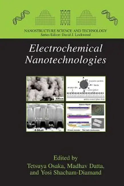 Electrochemical Nanotechnologies by Tetsuya Osaka