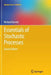 Essentials of Stochastic Processes by Richard Durrett