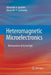 Heteromagnetic Microelectronics: Microsystems of Active Type by Alexander A. Ignatiev