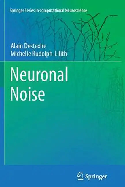 Neuronal Noise by Alain Destexhe