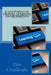 E-lecturing in Virtual Learning Environments by Ilker Cingillioglu