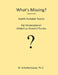 What's Missing?: Swahili Alphabet Puzzles by M. Schottenbauer