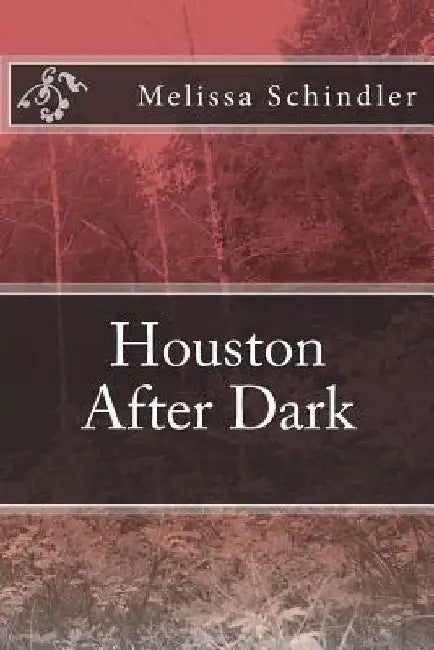 Houston After Dark by Melissa Ann Schindler