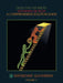 Deductive Geometry: Deciphering the Proof a Comprehensive Solution Guide Volume 1 by Raymond Guyamier