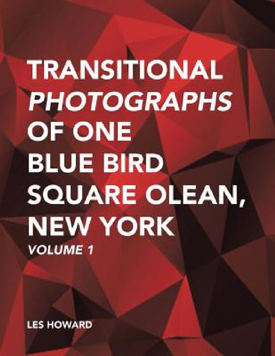 Transitional Photographs of One Blue Bird Square Olean, New York: Volume 1 by Les Howard