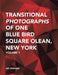 Transitional Photographs of One Blue Bird Square Olean, New York: Volume 1 by Les Howard