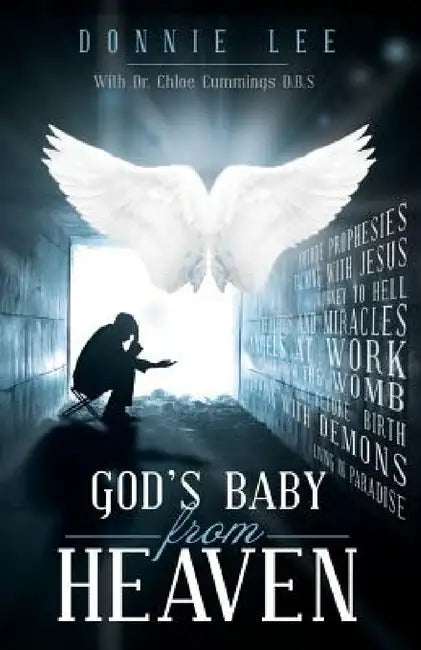 God's Baby from Heaven by Donnie Lee