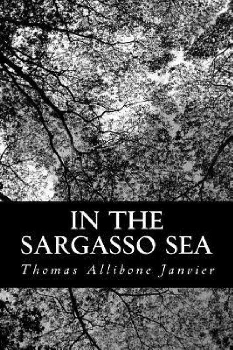 In the Sargasso Sea by Thomas Allibone Janvier