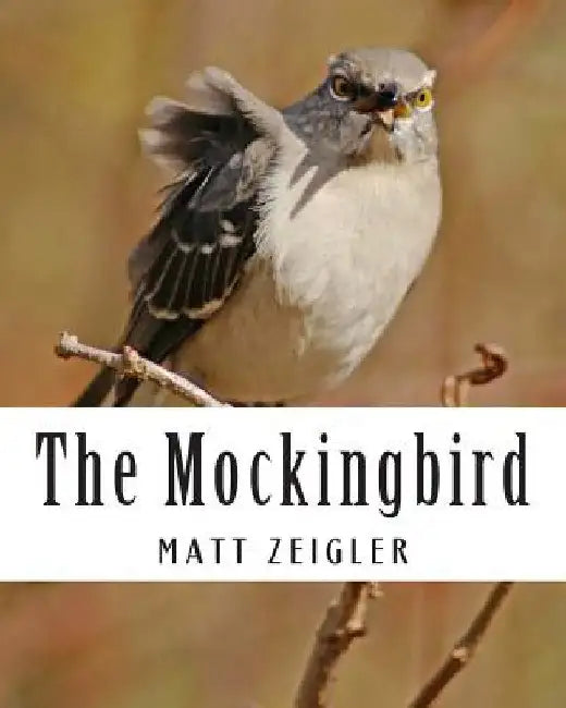 The Mockingbird by Matt Zeigler