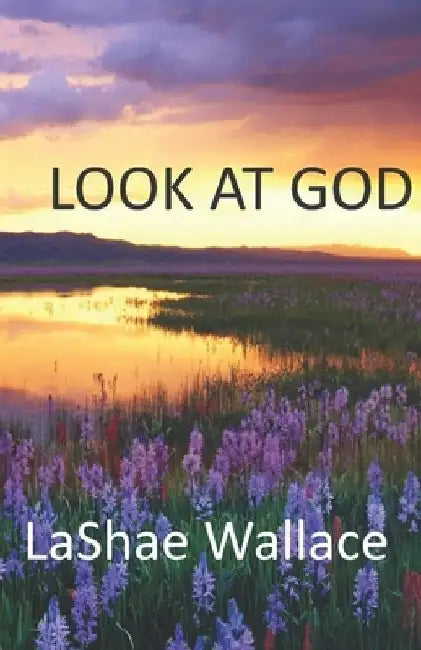 Look At God by Lashae Wallace