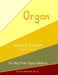 Interval Studies: Organ Foot Pedals by M. Schottenbauer