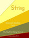 Interval Studies: Violin by M. Schottenbauer