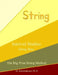 Interval Studies: String Bass by M. Schottenbauer