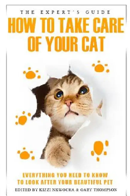The experts guide: how to care for your cat by Kizzi Nkwocha