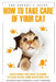 The experts guide: how to care for your cat by Kizzi Nkwocha