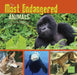 The Most Endangered Animals in the World by Tammy Gagne
