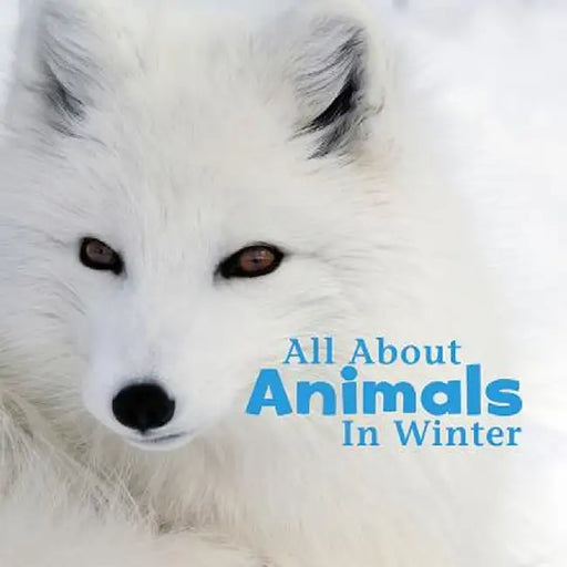 All about Animals in Winter by Martha E. Rustad