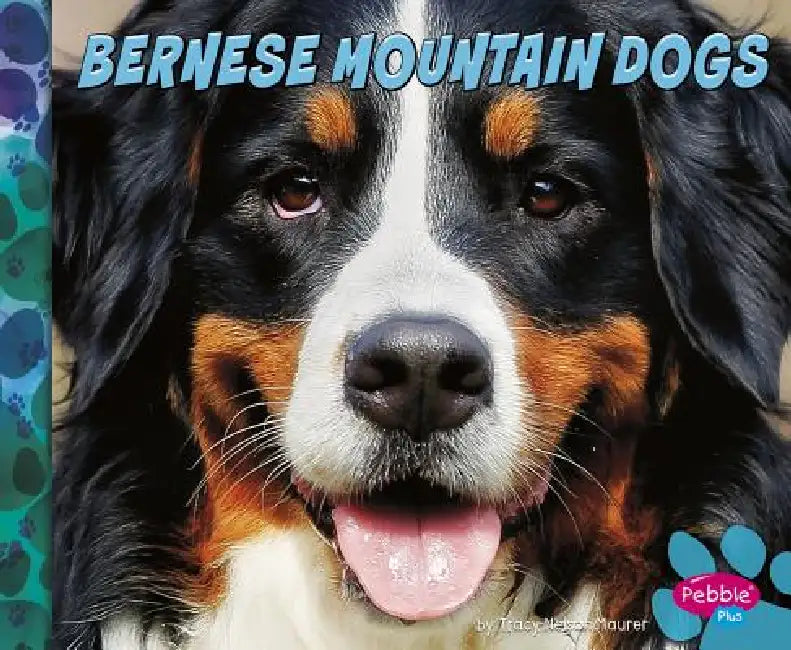 Bernese Mountain Dogs by Allan Morey