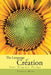The Language of Creation.: Your Original Design. by Tantra Maat
