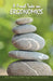 A Fresh Take on Ergonomics: Avoiding Pain in the Workplace by Betsy Oldenburg