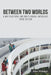 Between Two Worlds: A Multicultural and Multilingual Anthology Third Edition by Alan Hidalgo